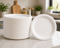 6,7,9 &10 Inch Eco-Friendly Bamboo Paper Plates – 100% Compostable, Heavy-Duty Disposable Plates, Greaseproof & Microwavable for Parties, School, Catering & Daily Use