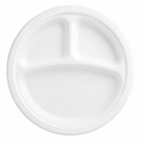 Round Heavy Paper Plates 3 compartment 9” meal serving Plates